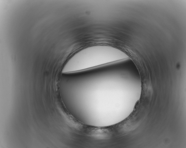 X0000092230379200709140946