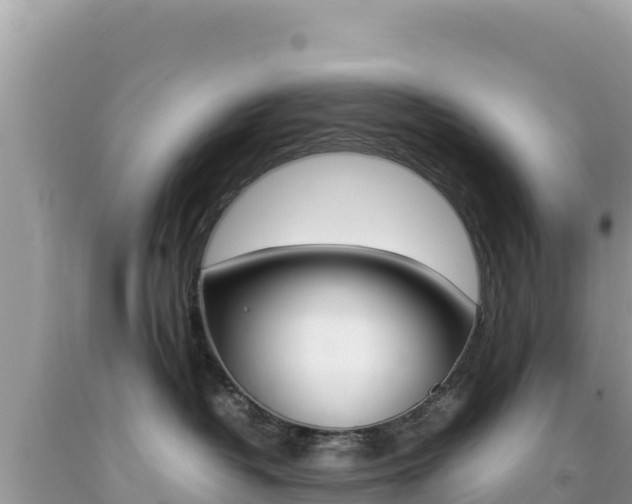 X0000092230382200709140946