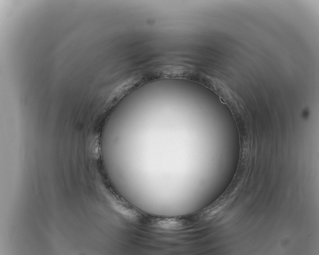 X0000092230383200709140946