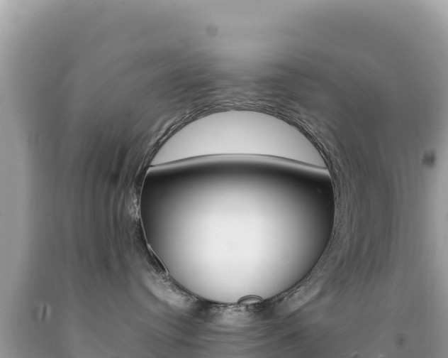 X0000092230384200709140946