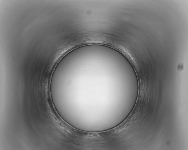 X0000092230386200709140946