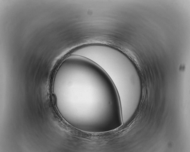 X0000092230388200709140946