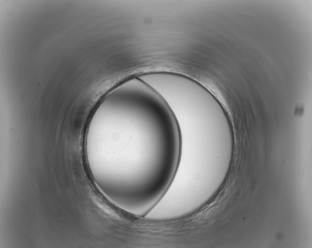 X0000092230389200709140946