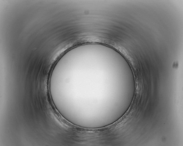 X0000092230390200709140946