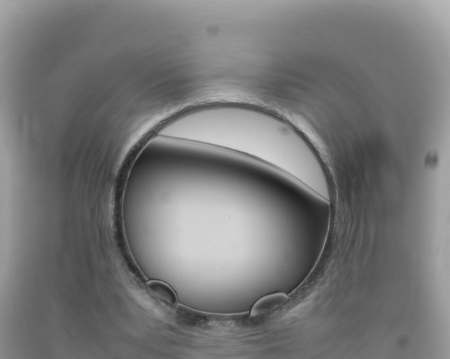 X0000092230391200709140946