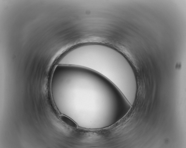 X0000092230392200709140946