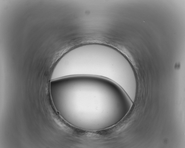X0000092230393200709140946