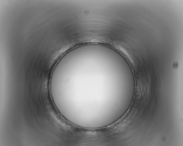 X0000092230394200709140946