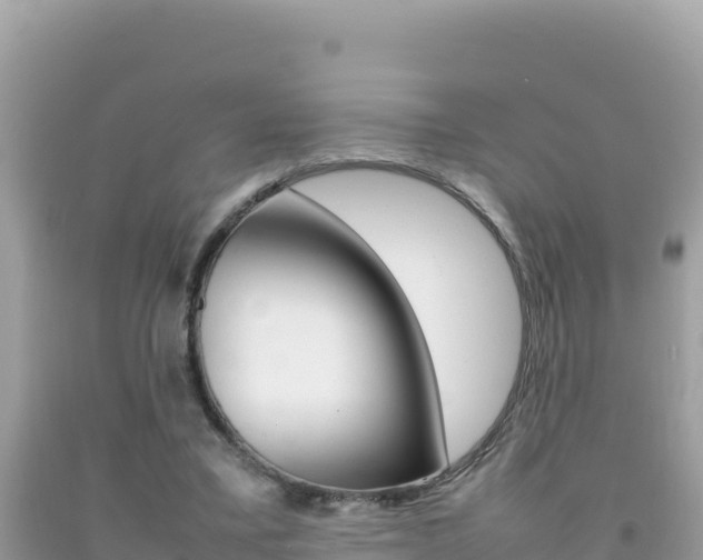 X0000092230395200709140946