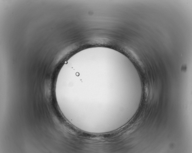 X0000092230396200709140946