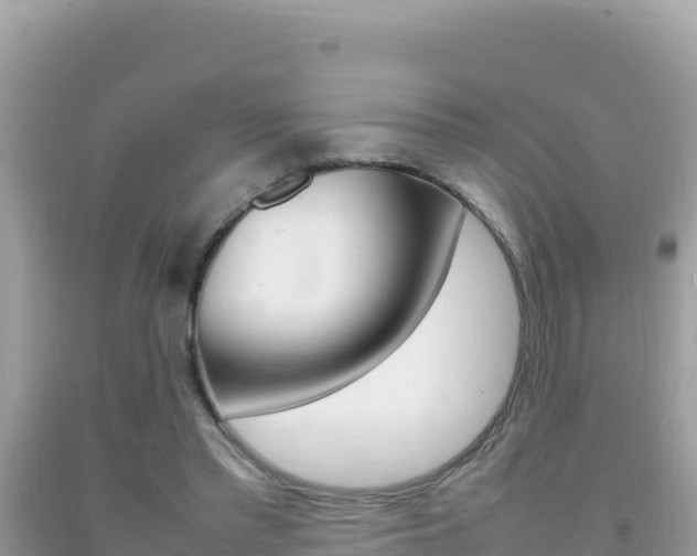 X0000092230397200709140946