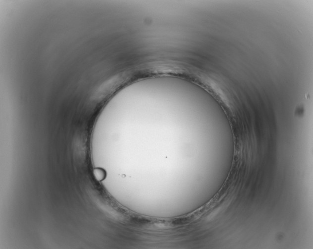 X0000092230402200709140945