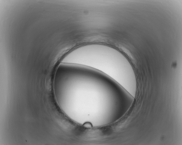 X0000092230403200709140945