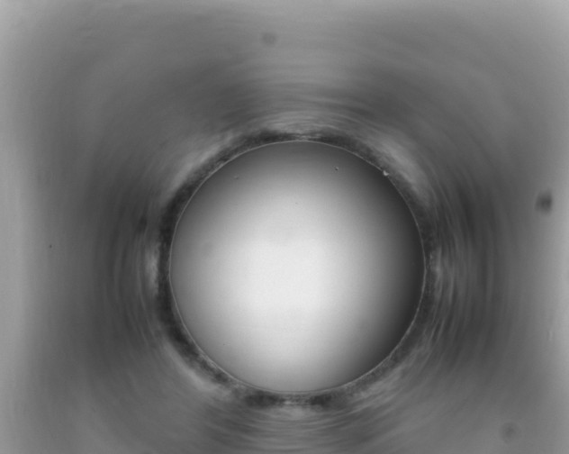 X0000092230404200709140945