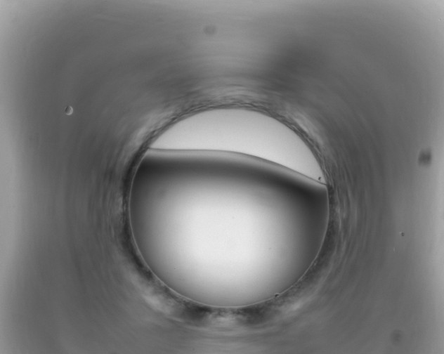 X0000092230407200709140945
