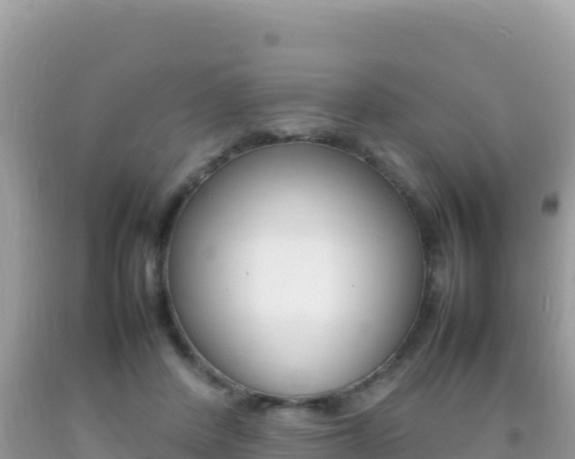 X0000092230408200709140945