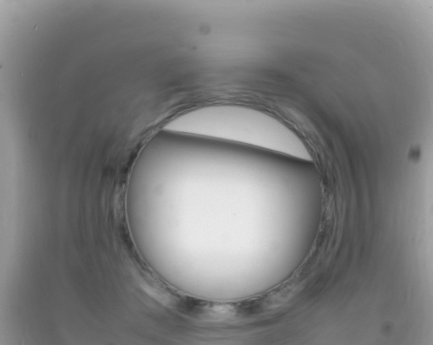 X0000092230409200709140945