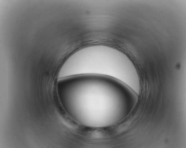 X0000092230412200709140945