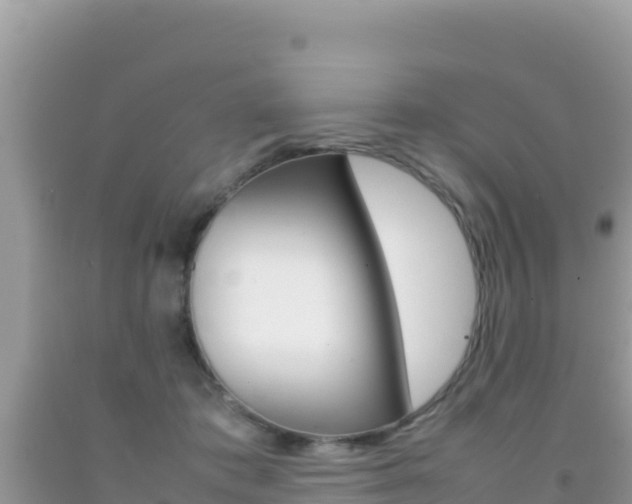 X0000092230413200709140945