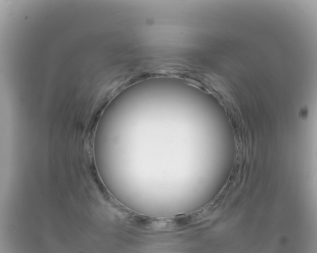 X0000092230415200709140945