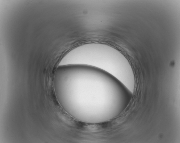 X0000092230417200709140945
