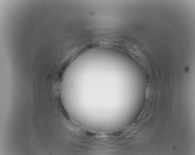 X0000092230419200709140945