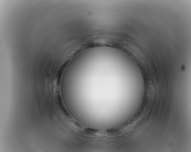 X0000092230420200709140945