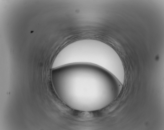 X0000092230421200709140945