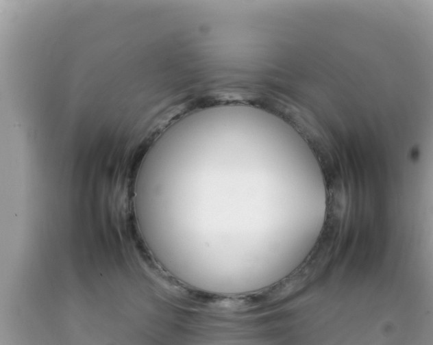 X0000092230422200709140945