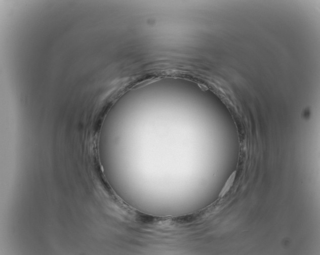 X0000092230423200709140945
