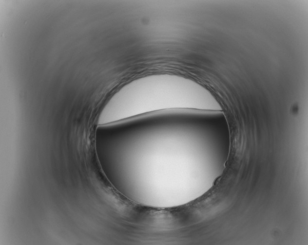X0000092230424200709140945