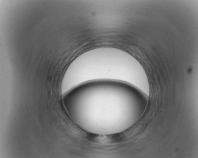 X0000092230425200709140945
