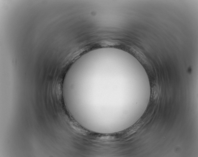 X0000092230426200709140945