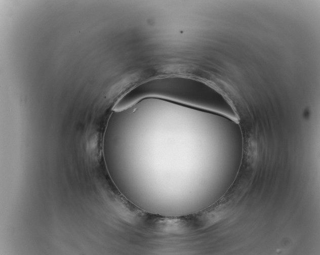 X0000092230428200709140945