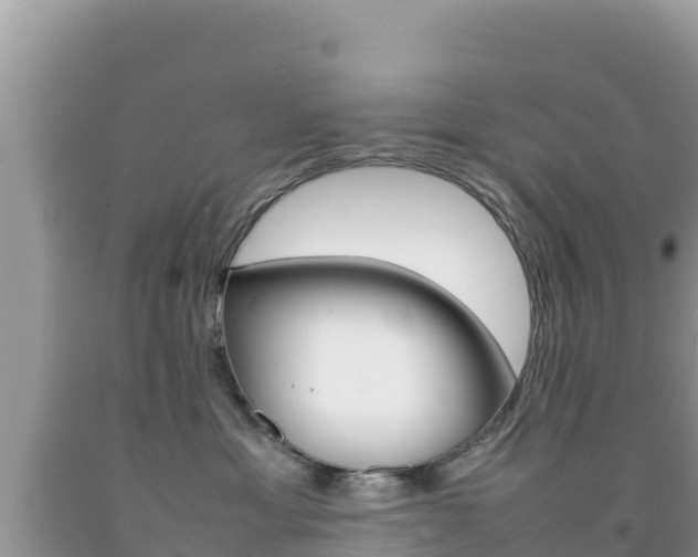 X0000092230429200709140945