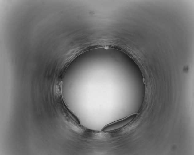 X0000092230432200709140945