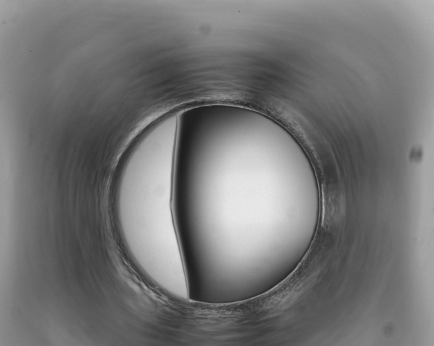 X0000092230435200709140945
