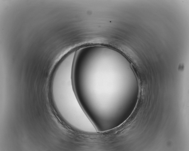 X0000092230436200709140945