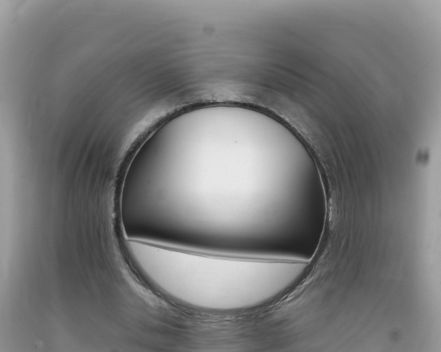 X0000092230438200709140945