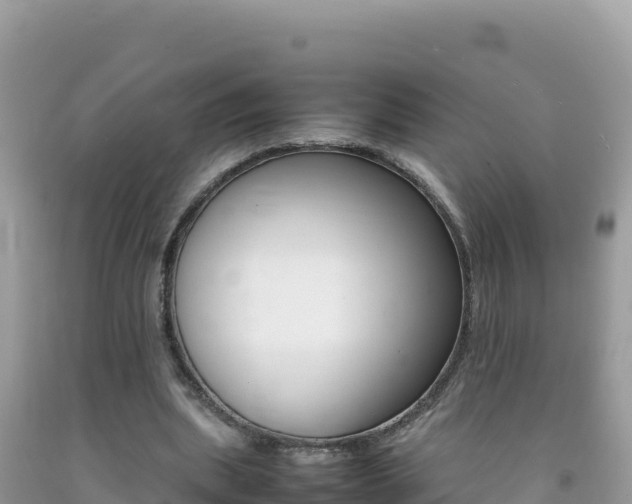 X0000092230439200709140945