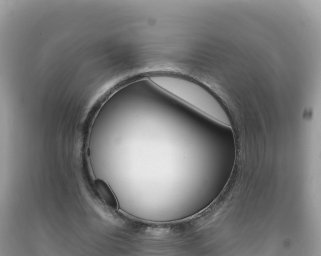 X0000092230440200709140945