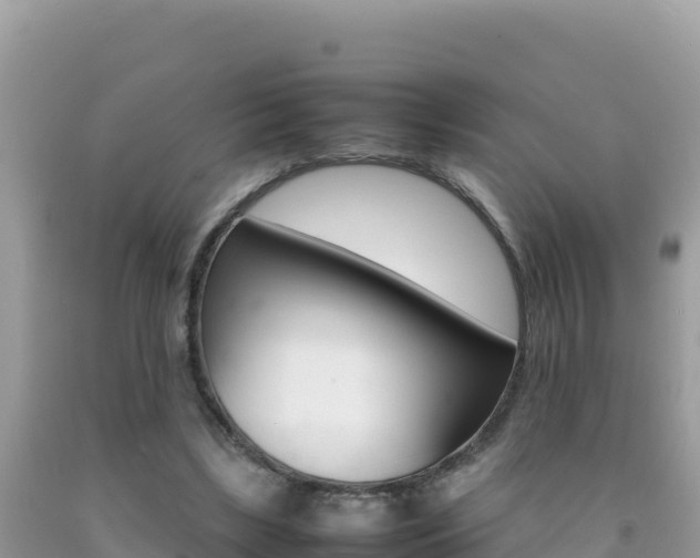 X0000092230443200709140945