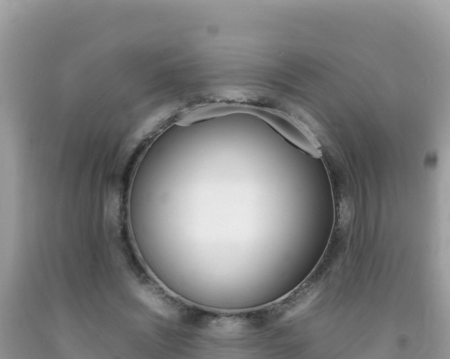 X0000092230444200709140945