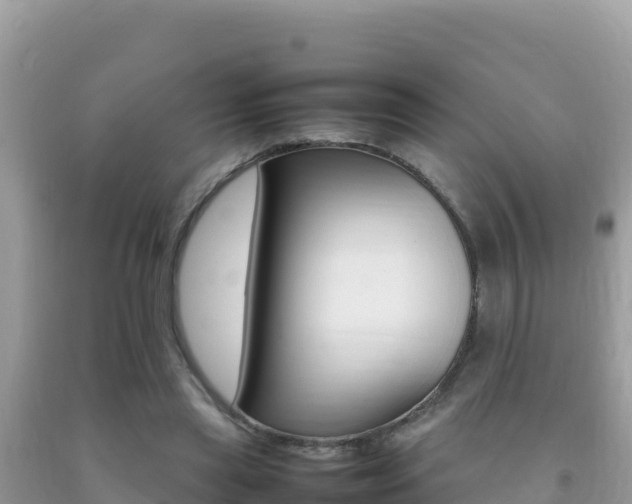 X0000092230445200709140945