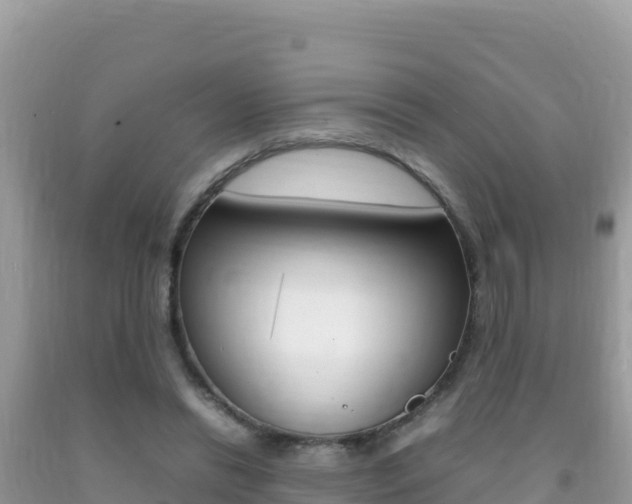 X0000092230446200709140945