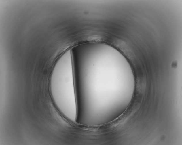 X0000092230449200709140945