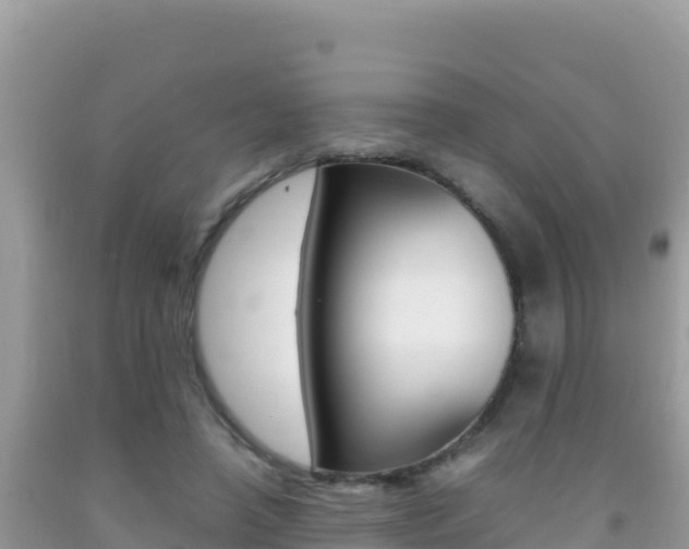 X0000092230450200709140945