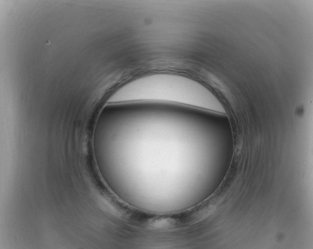 X0000092230452200709140945