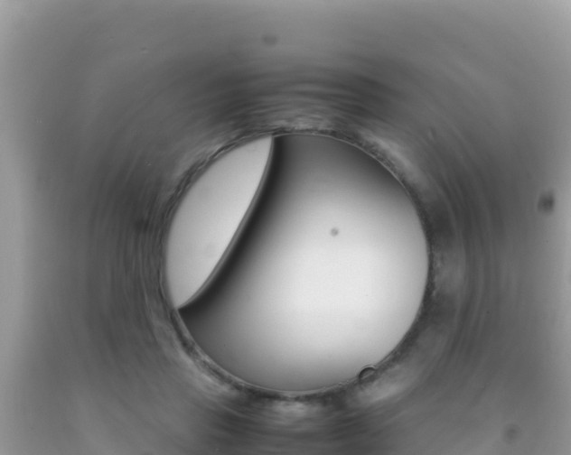 X0000092230453200709140945