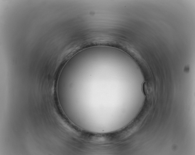 X0000092230454200709140945
